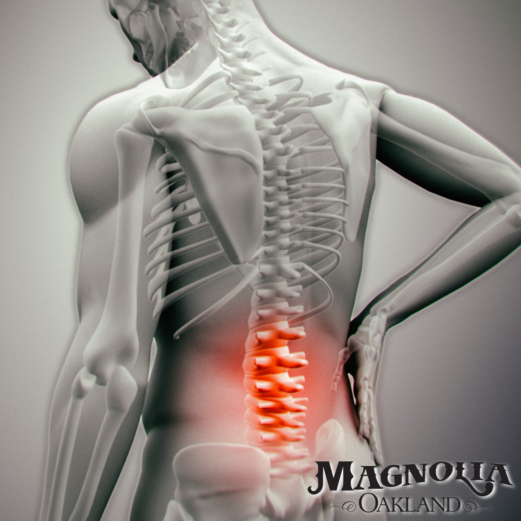 Chiropractor